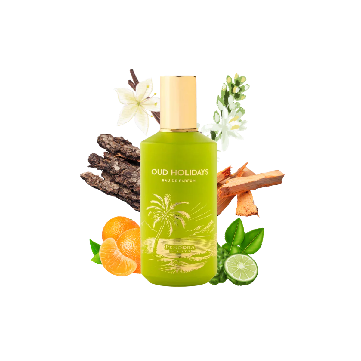 Woody Leather Unisex Fragrance with Citrus, Oud, Vanilla and Musk Notes
