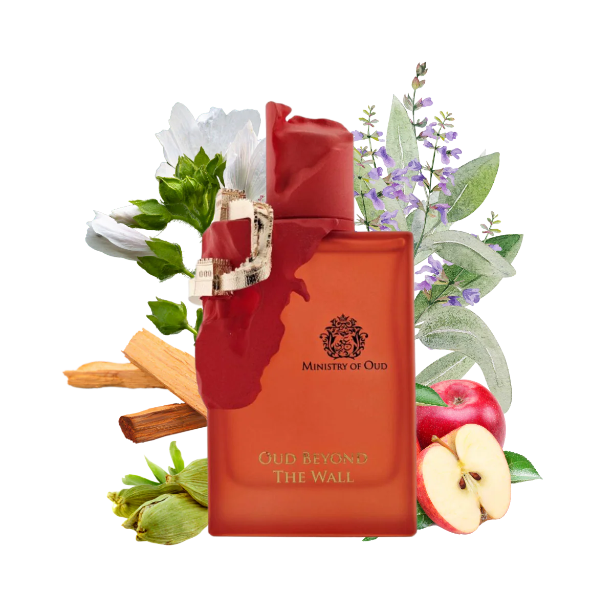 Woody Aromatic Fragrance with Clary Sage, Apple, Sandalwood and Musk