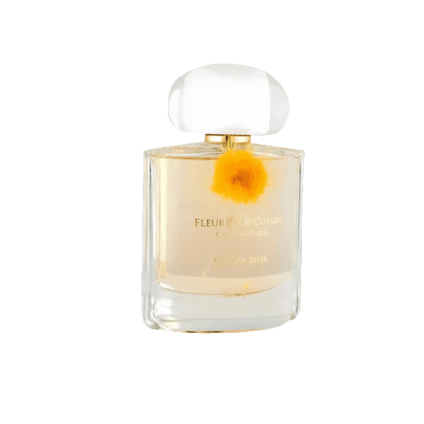 Fruity Floral Unisex Fragrance with Mandarin, Rose, Vanilla and Musk