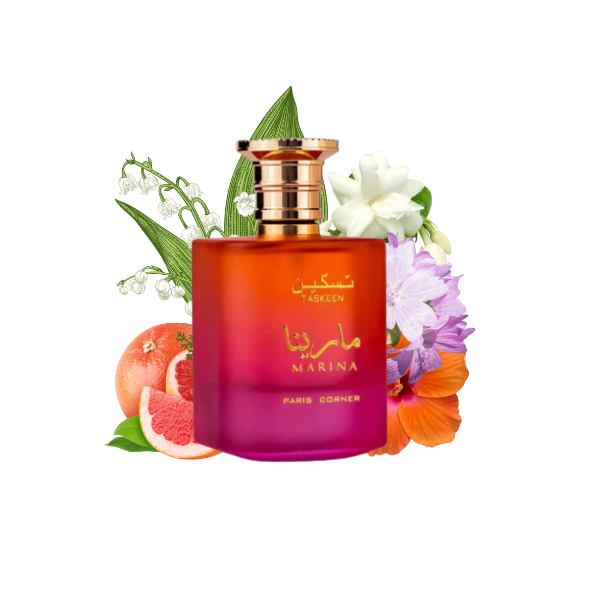 Citrus Floral Musk Fragrance with Orange, Grapefruit and Jasmine Notes
