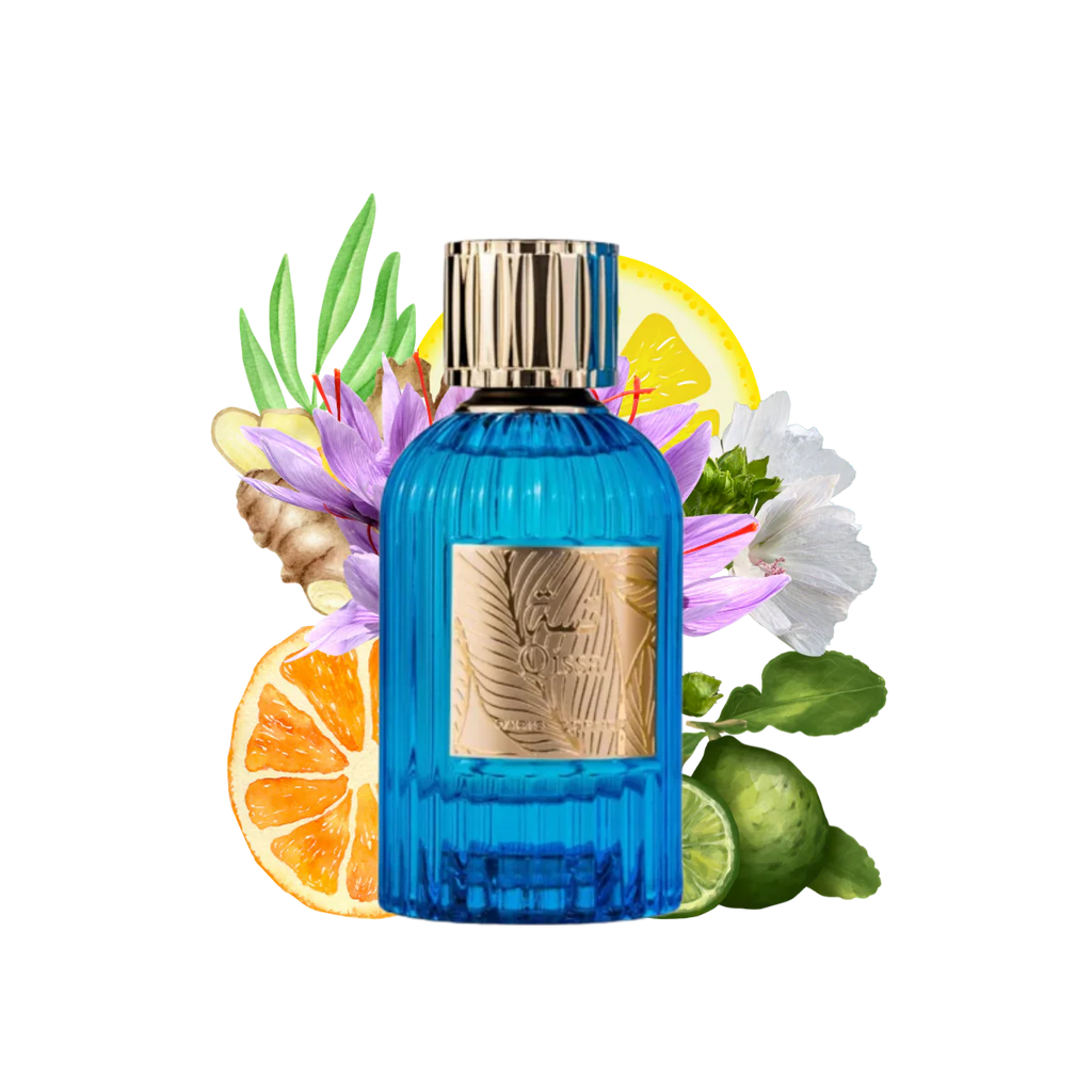 Citrus Floral Woody Fragrance with Bergamot, Jasmine and Amber Notes