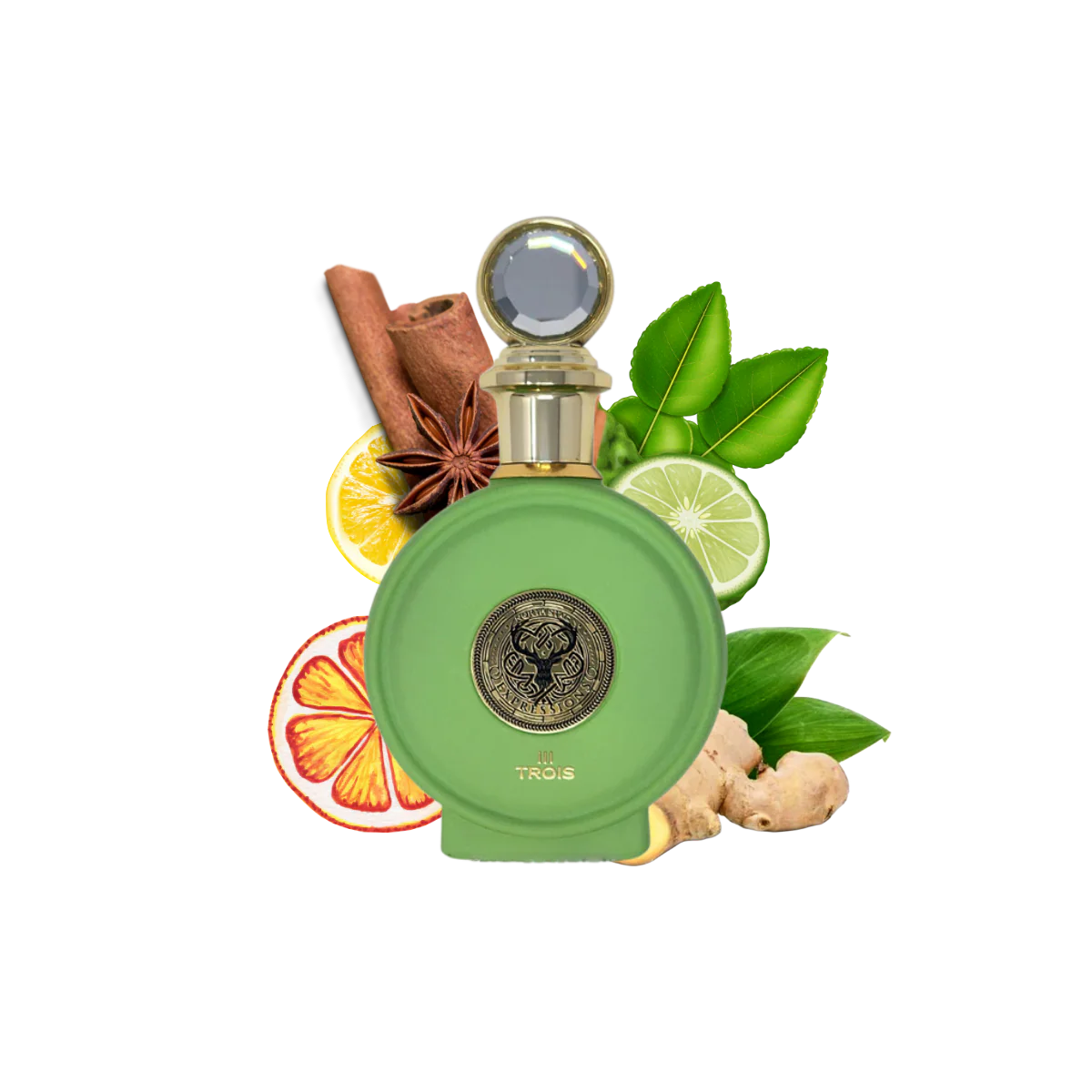 Citrus Spicy Woody Fragrance with Bergamot, Ginger and Black Tea